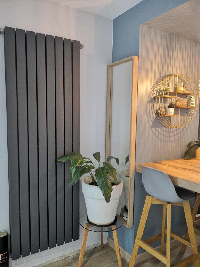 Superbe Cosy T1 Bis Studio 40M2 Independant En Maison Avec Parking Gratuit Apartment Caluire-et-Cuire Exterior photo